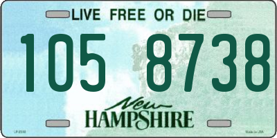 NH license plate 1058738