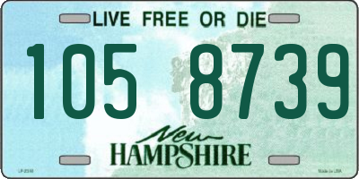 NH license plate 1058739