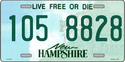 NH license plate 1058828