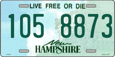 NH license plate 1058873