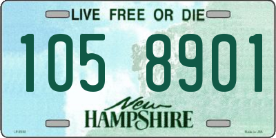 NH license plate 1058901
