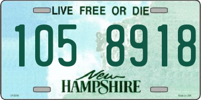 NH license plate 1058918