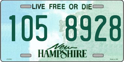 NH license plate 1058928