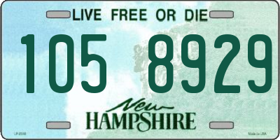 NH license plate 1058929