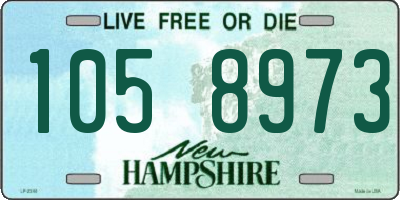 NH license plate 1058973