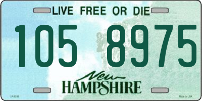 NH license plate 1058975