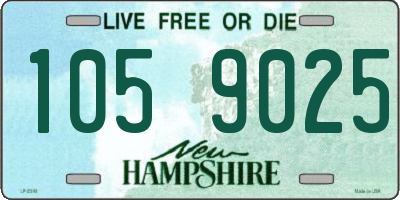 NH license plate 1059025