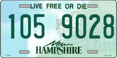 NH license plate 1059028