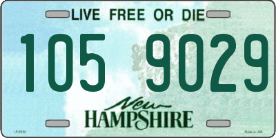 NH license plate 1059029