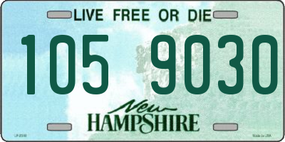 NH license plate 1059030
