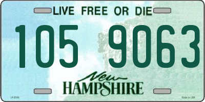 NH license plate 1059063