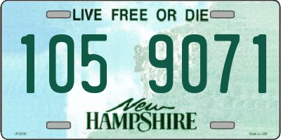 NH license plate 1059071