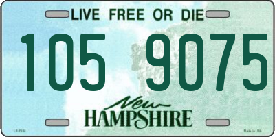 NH license plate 1059075