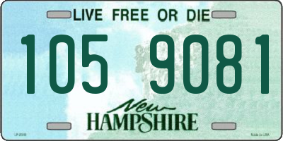 NH license plate 1059081