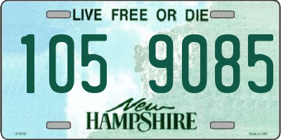 NH license plate 1059085