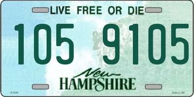 NH license plate 1059105