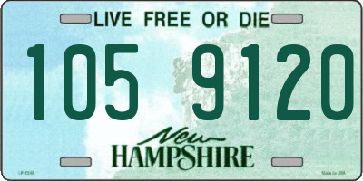 NH license plate 1059120