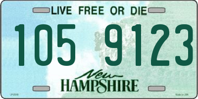 NH license plate 1059123