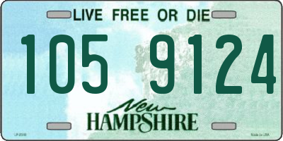 NH license plate 1059124