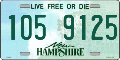 NH license plate 1059125