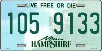 NH license plate 1059133