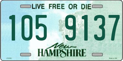 NH license plate 1059137