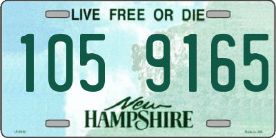 NH license plate 1059165