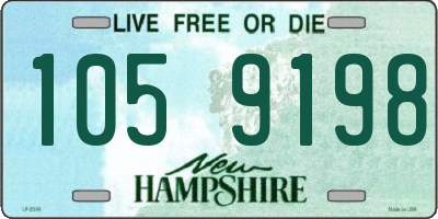 NH license plate 1059198