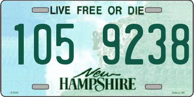 NH license plate 1059238