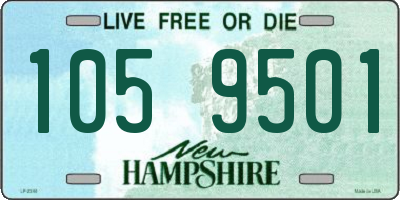 NH license plate 1059501