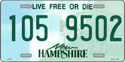 NH license plate 1059502