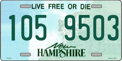 NH license plate 1059503