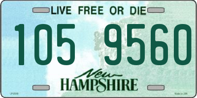 NH license plate 1059560