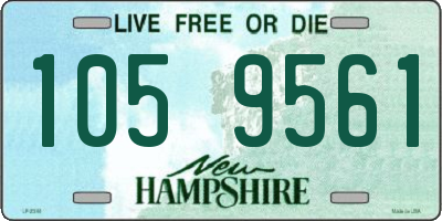 NH license plate 1059561