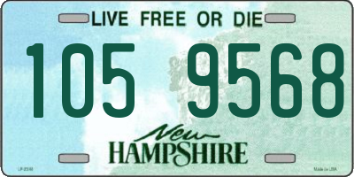 NH license plate 1059568