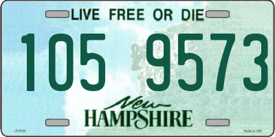 NH license plate 1059573