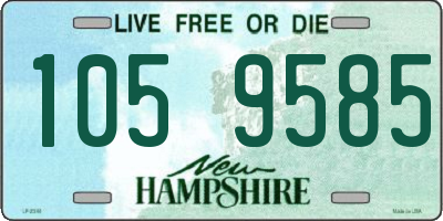 NH license plate 1059585