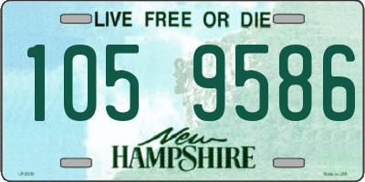 NH license plate 1059586