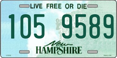 NH license plate 1059589