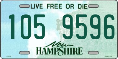 NH license plate 1059596