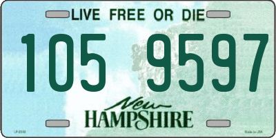 NH license plate 1059597