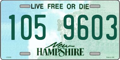 NH license plate 1059603