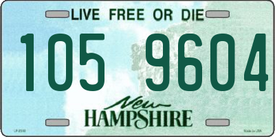 NH license plate 1059604
