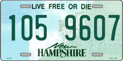 NH license plate 1059607