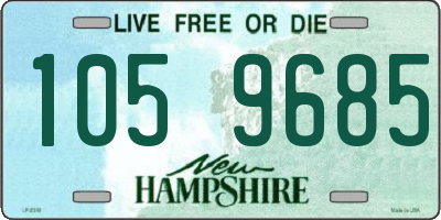 NH license plate 1059685