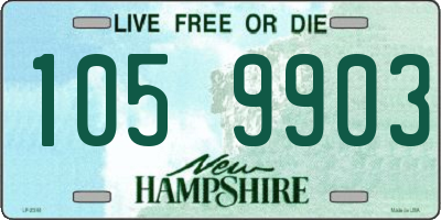 NH license plate 1059903