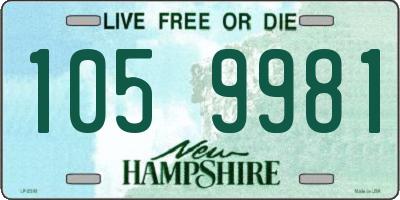 NH license plate 1059981