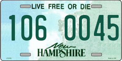 NH license plate 1060045