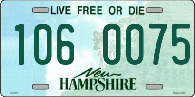 NH license plate 1060075