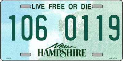 NH license plate 1060119
